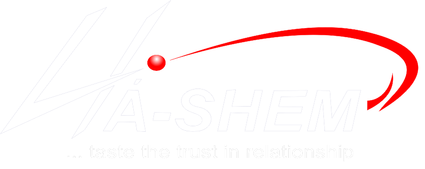 Ha-Shem Limited